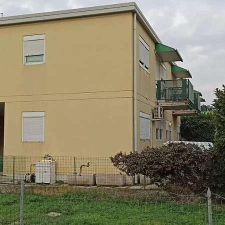 Donna Michela Ponzano Veneto